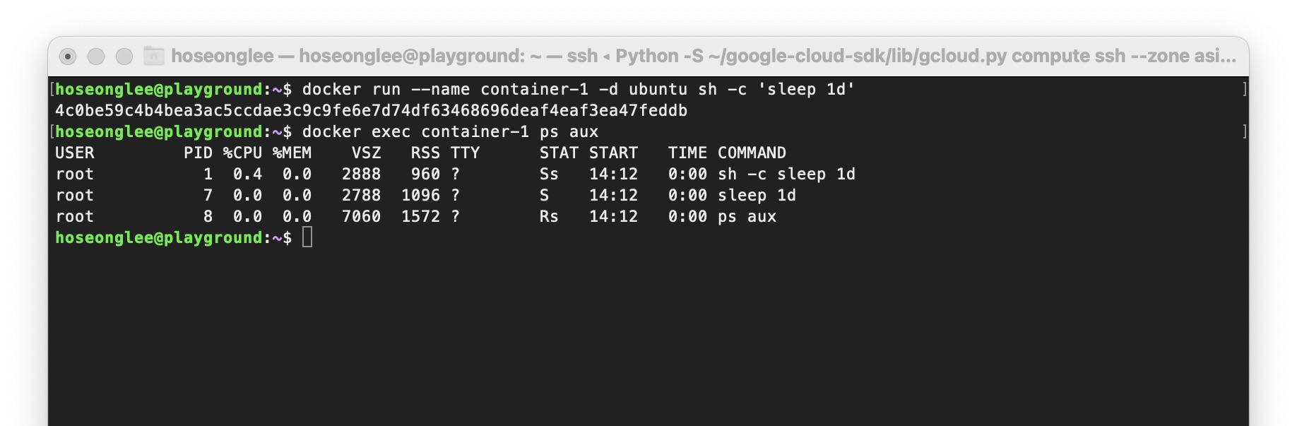 Run simple container
